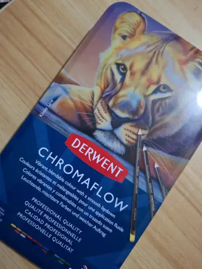 Lápices de Colores Derwent Chromaflow 24 Unidades - miniatura 1
