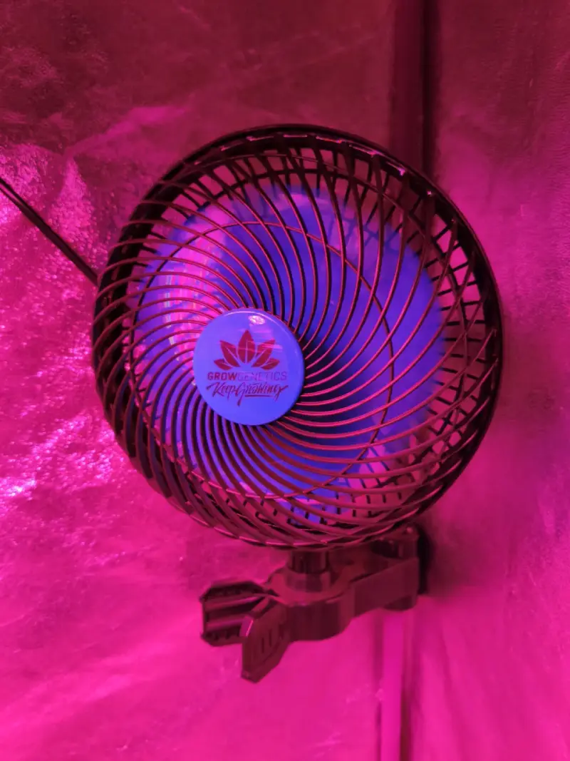 Carpa de Cultivo Interior con Luz LED - 6