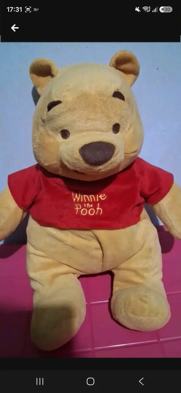 Peluche Winnie the Pooh grande