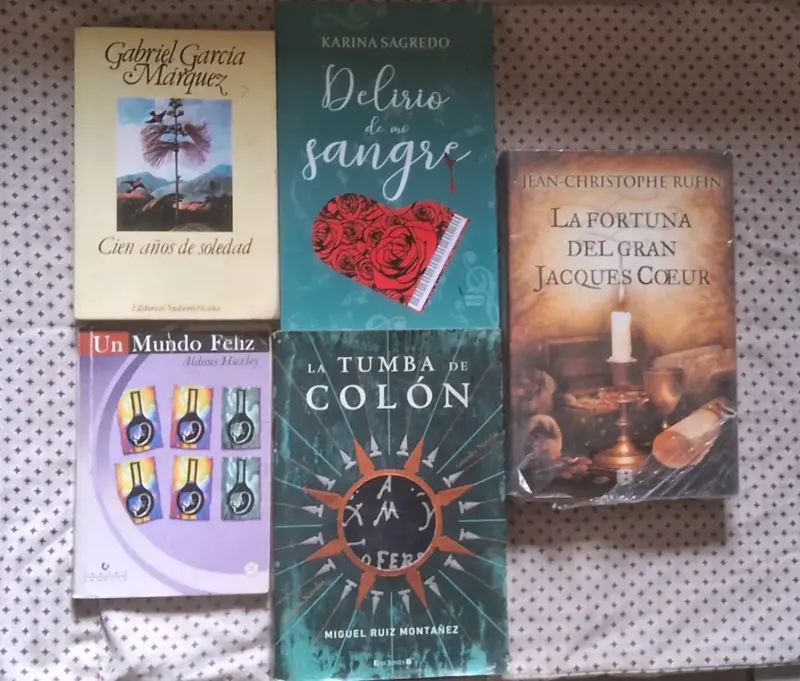 Lote de 5 libros variados en buen estado