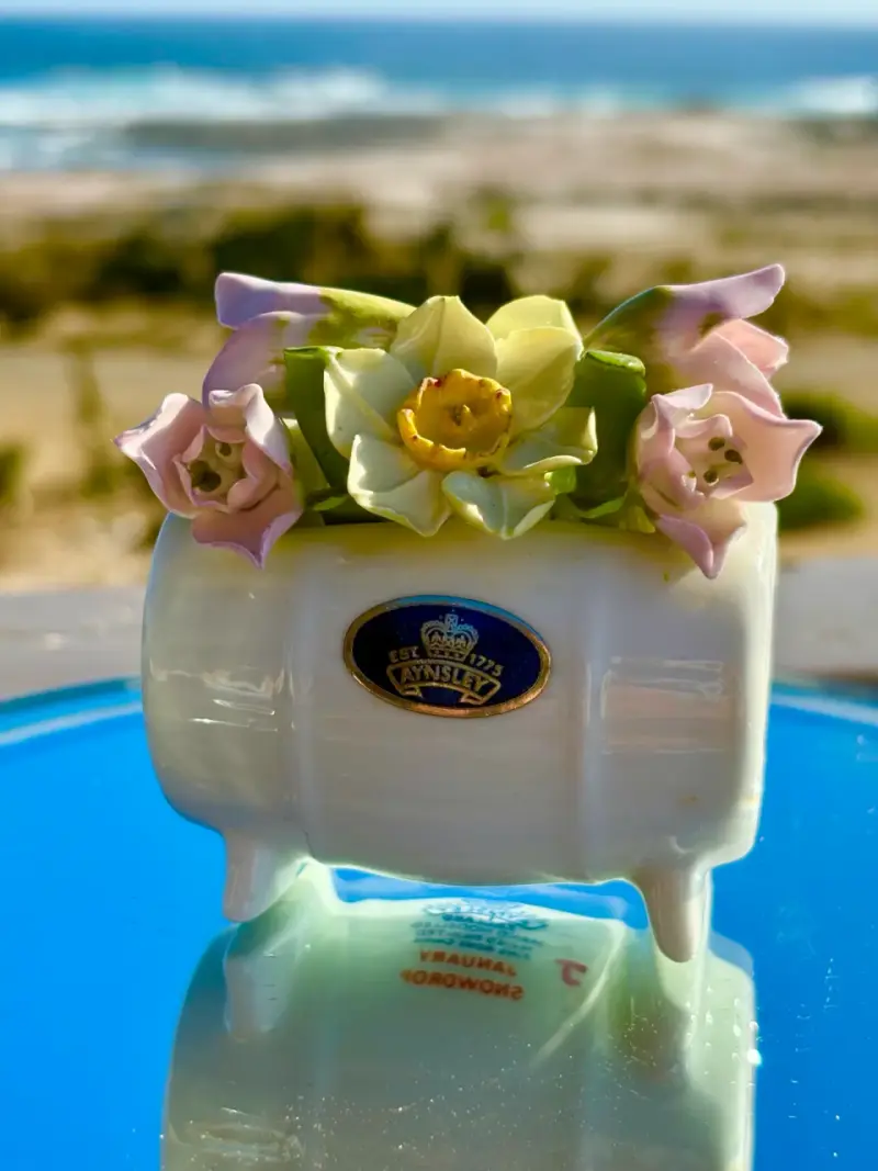 Florero de porcelana Aynsley  pintadas a mano - 5