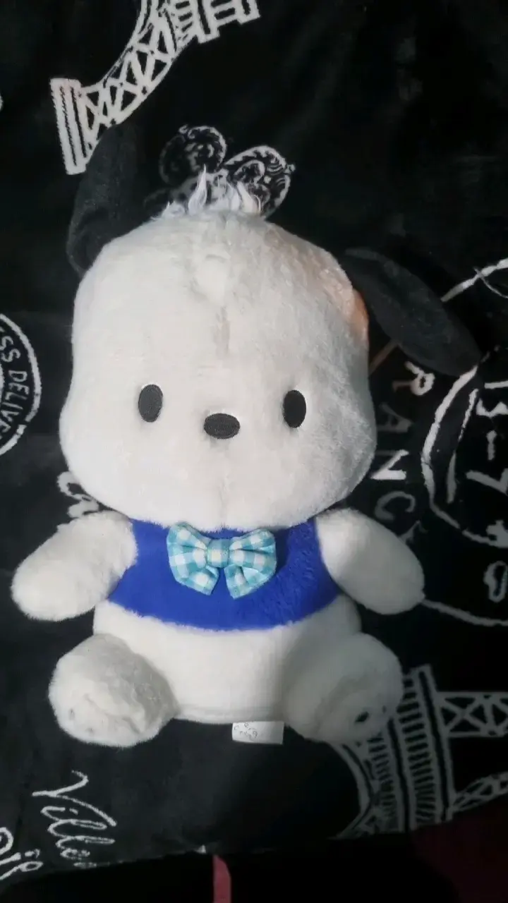 Peluche de pochaco - 1