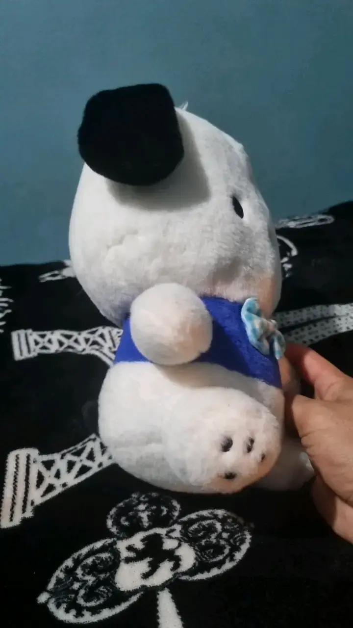 Peluche de pochaco - 3