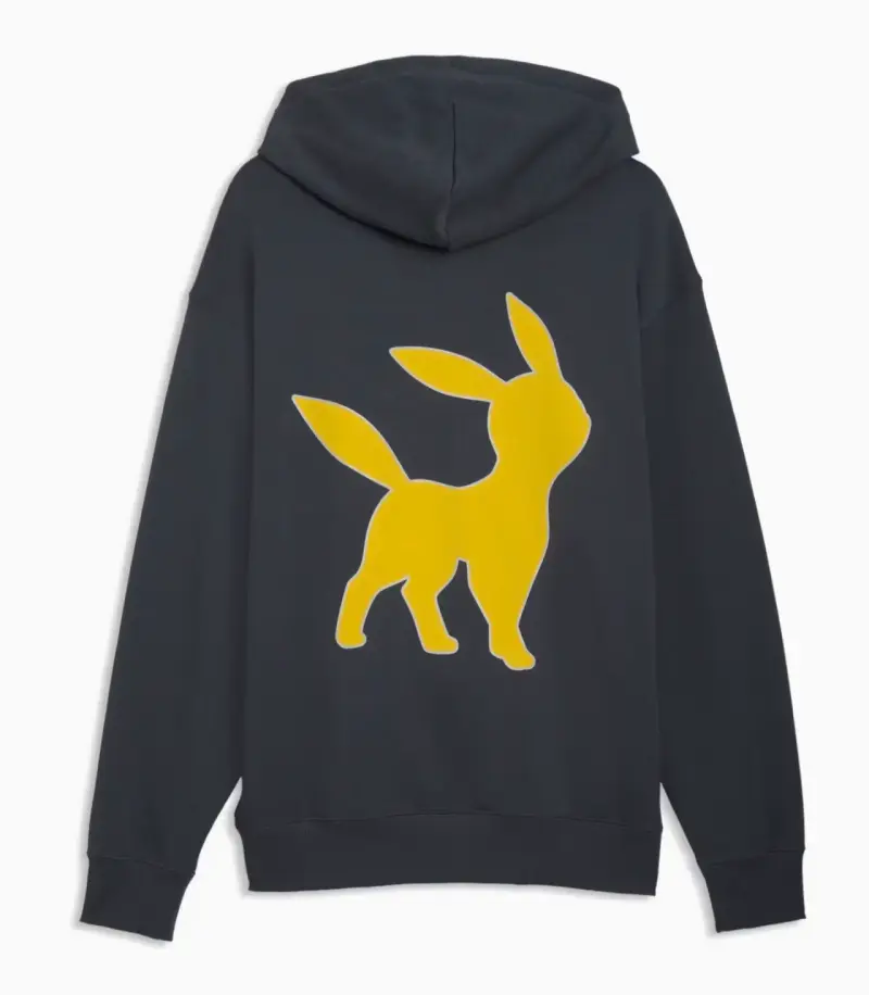 Polerón con capucha Pokémon x Puma gris - 2