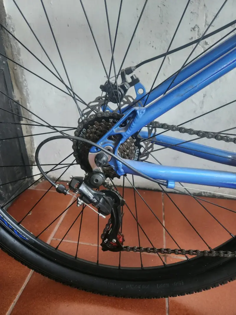 Bicicleta bianchi aro 29 - 2