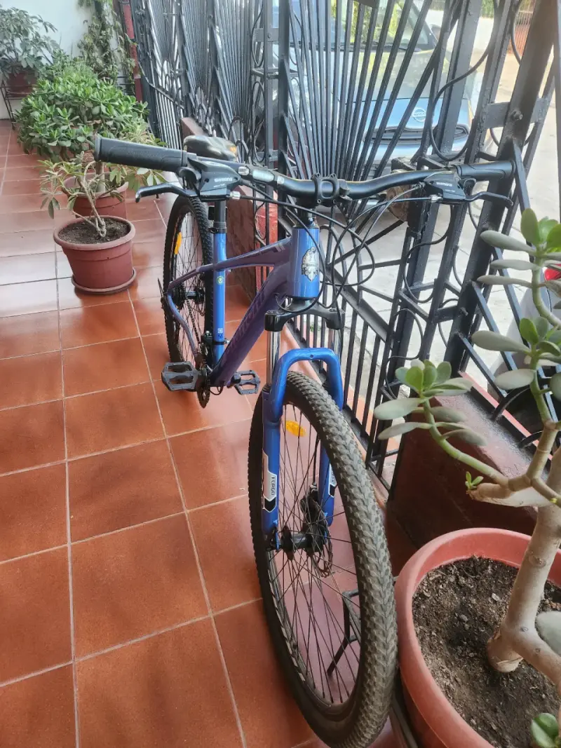 Bicicleta bianchi aro 29 - 6
