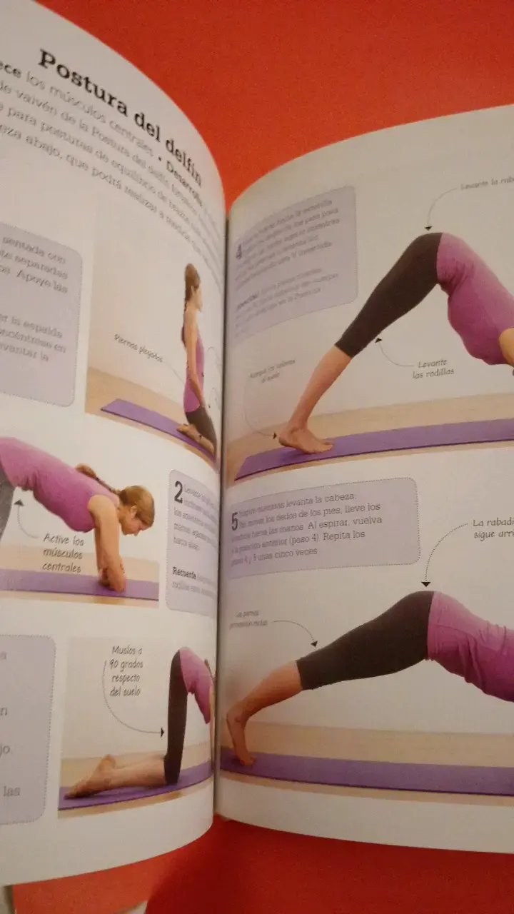 Libro Curso Básico de Yoga - 2