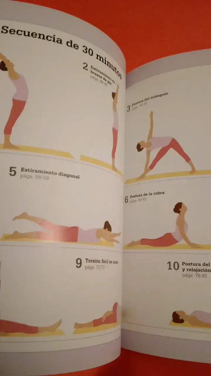 Libro Curso Básico de Yoga - 4