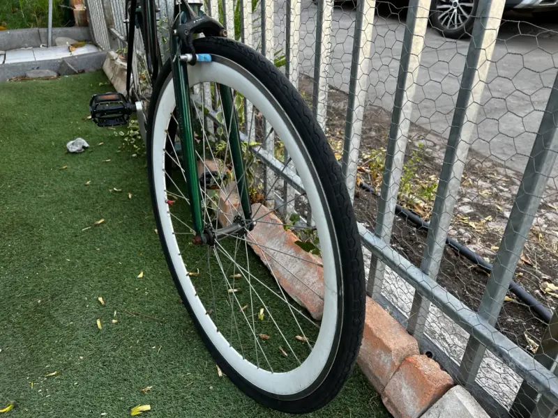 Bicicleta Hernández verde con asiento marrón - 6