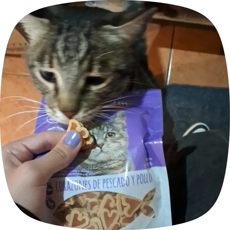 Snacks Premium para gatos 65gr $3.000c/u - 6