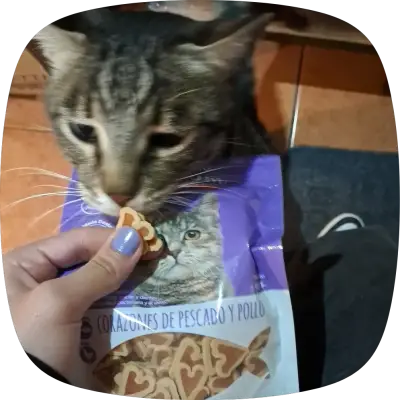 Snacks Premium para gatos 65gr $3.000c/u - miniatura 6