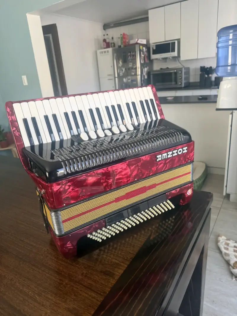 Acordeón rojo RMZIOI con teclas y botones - 3