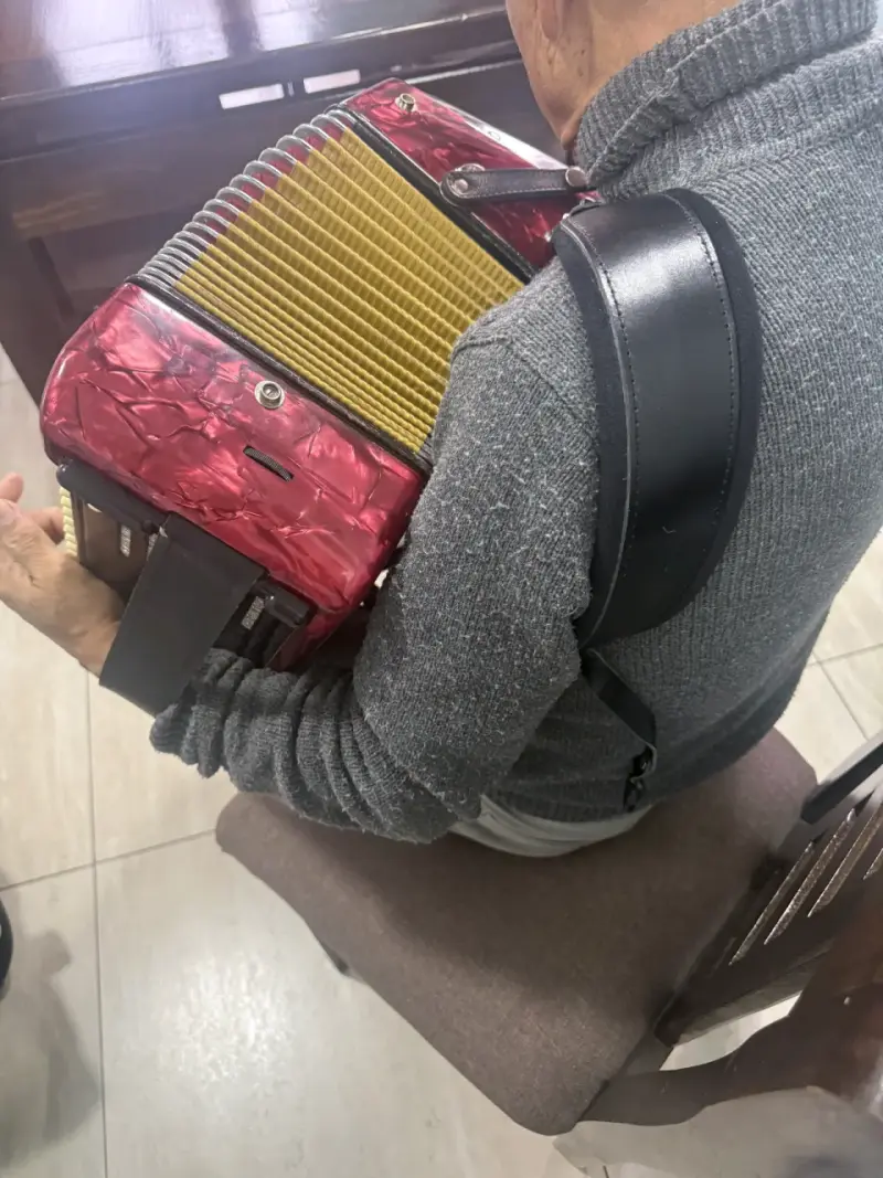 Acordeón rojo RMZIOI con teclas y botones - 5