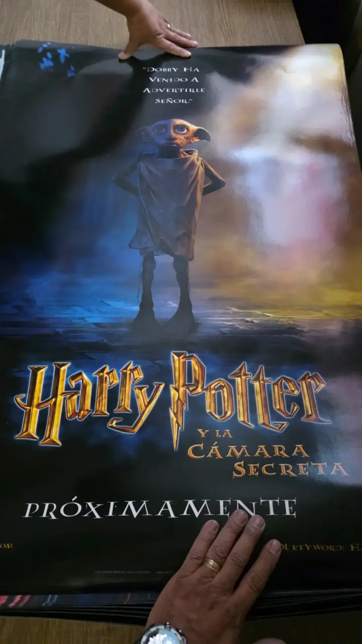 Afiche de Harry Potter y la Cámara Secreta - 1