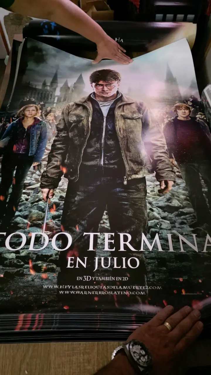 Afiche de Harry Potter y la Cámara Secreta - 2