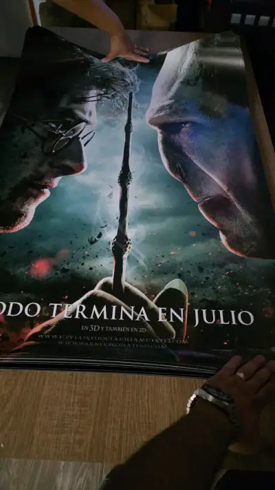 Afiche de Harry Potter y la Cámara Secreta - miniatura 3
