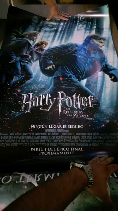 Afiche de Harry Potter y la Cámara Secreta - miniatura 4