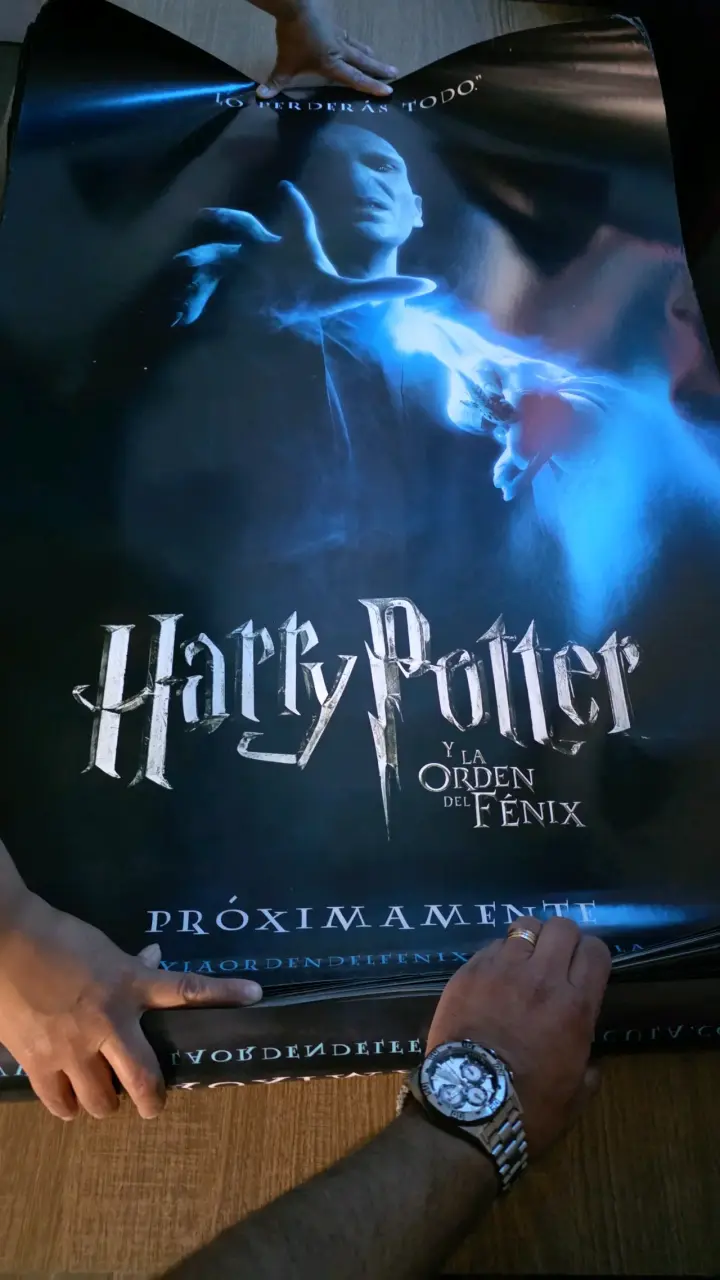 Afiche de Harry Potter y la Cámara Secreta - 5