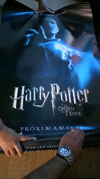 Afiche de Harry Potter y la Cámara Secreta - miniatura 5
