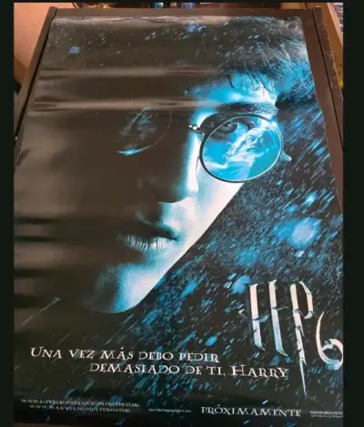 Afiche de Harry Potter y la Cámara Secreta - miniatura 6