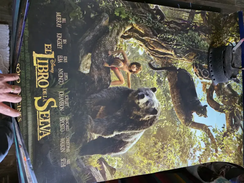 Lote de afiches de películas animadas - 3