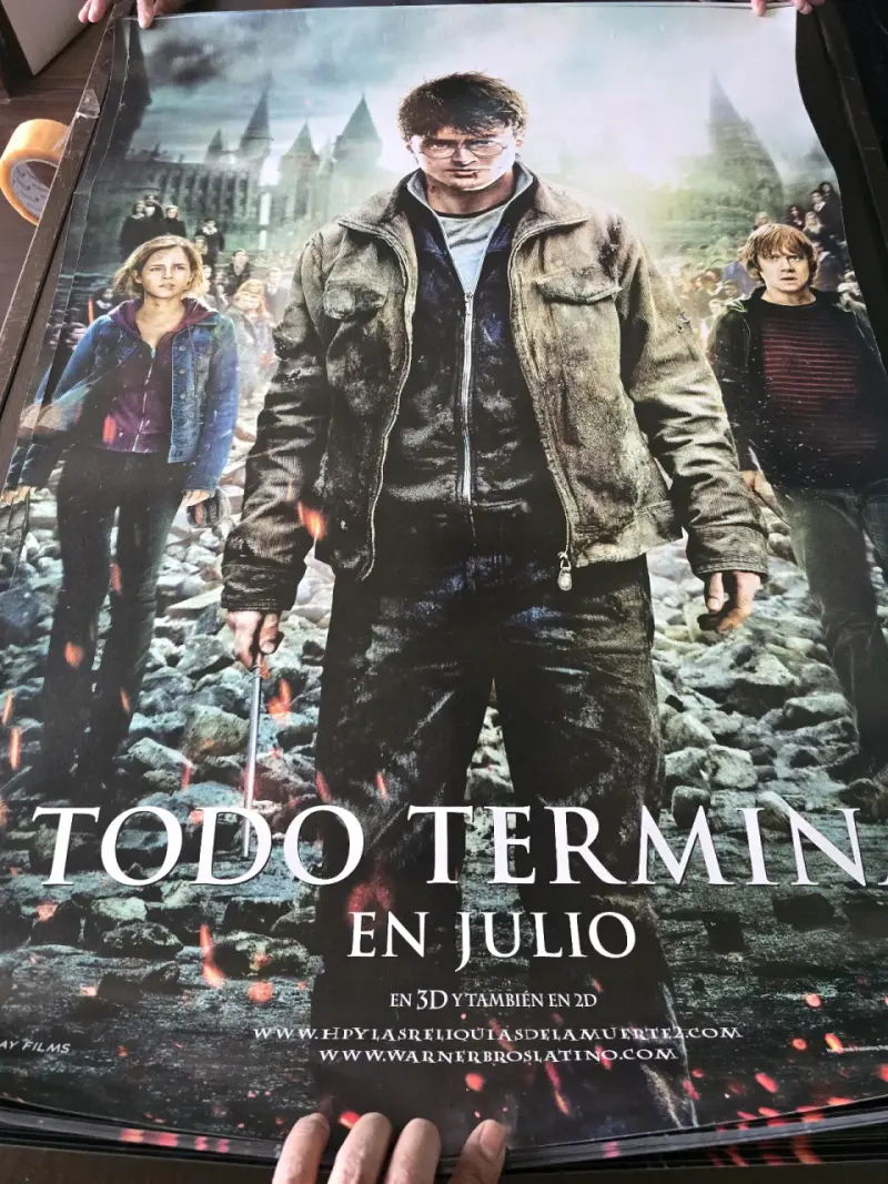Afiche de Harry Potter y el Cáliz de Fuego - 2