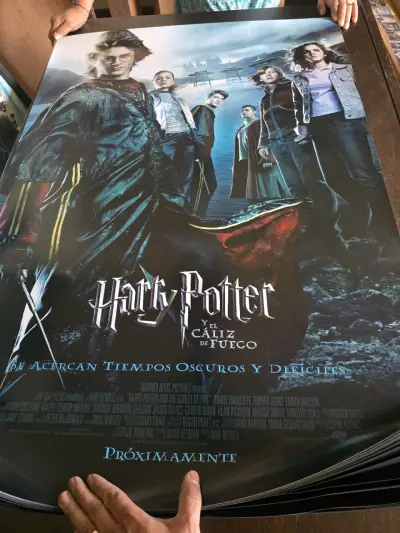 Afiche de Harry Potter y el Cáliz de Fuego - miniatura 3
