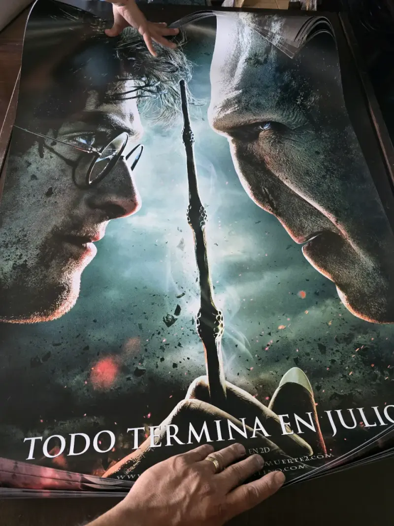 Afiche de Harry Potter y el Cáliz de Fuego - 4