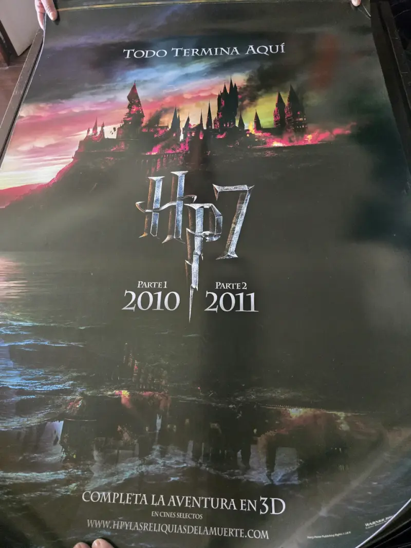 Afiche de Harry Potter y el Cáliz de Fuego - 5