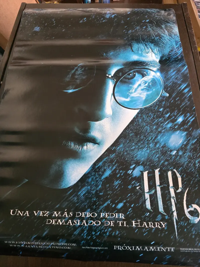 Afiche de Harry Potter y el Cáliz de Fuego - 6