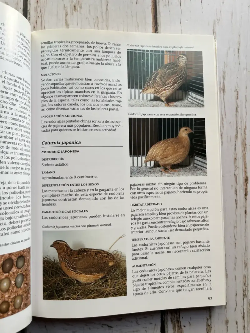 Libro La Enciclopedia de los Pájaros Domésticos - 5