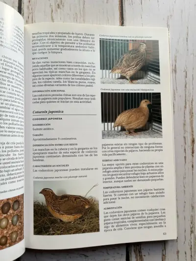 Libro La Enciclopedia de los Pájaros Domésticos - miniatura 5