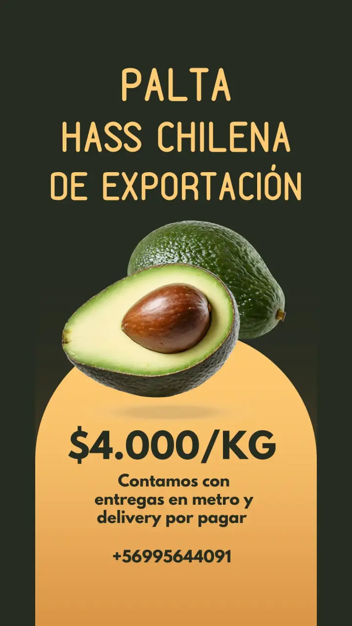 Palta Hass Chilena de Exportación