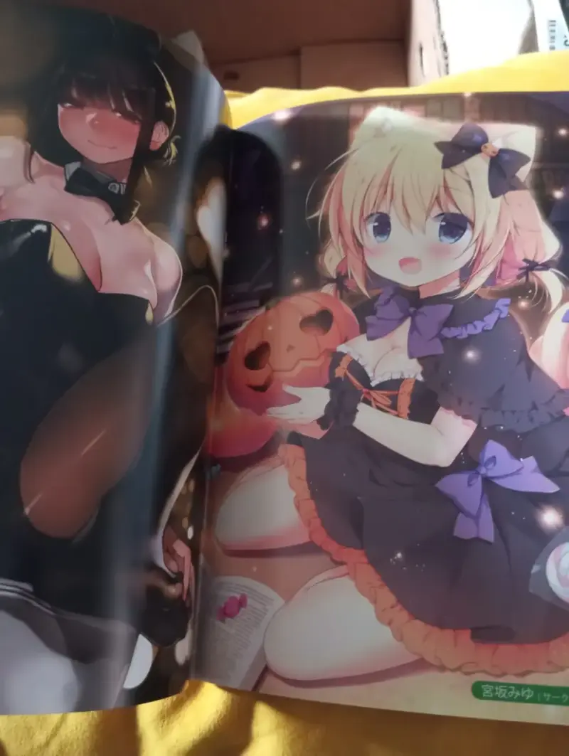 Artbook Anime Japones - Comic1☆14 Melonbooks Colle - 2
