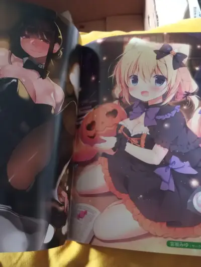Artbook Anime Japones - Comic1☆14 Melonbooks Colle - miniatura 2