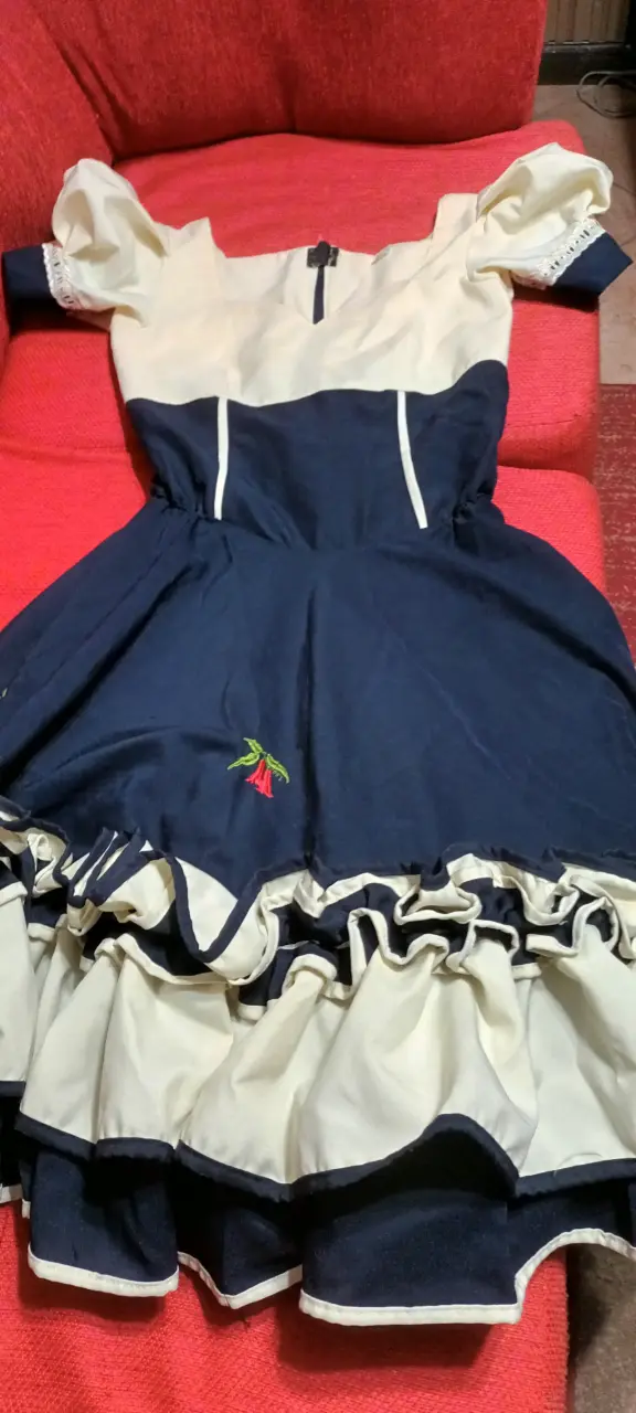 Vestido típico chileno azul y blanco con bordados - 6