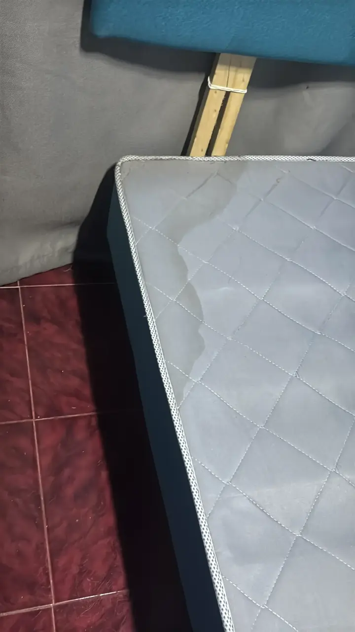 CAMA DE UNA PLAZA CON COLCHON - 1