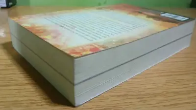 Libro 1421 El Año en que China Descubrió el Mundo - miniatura 4