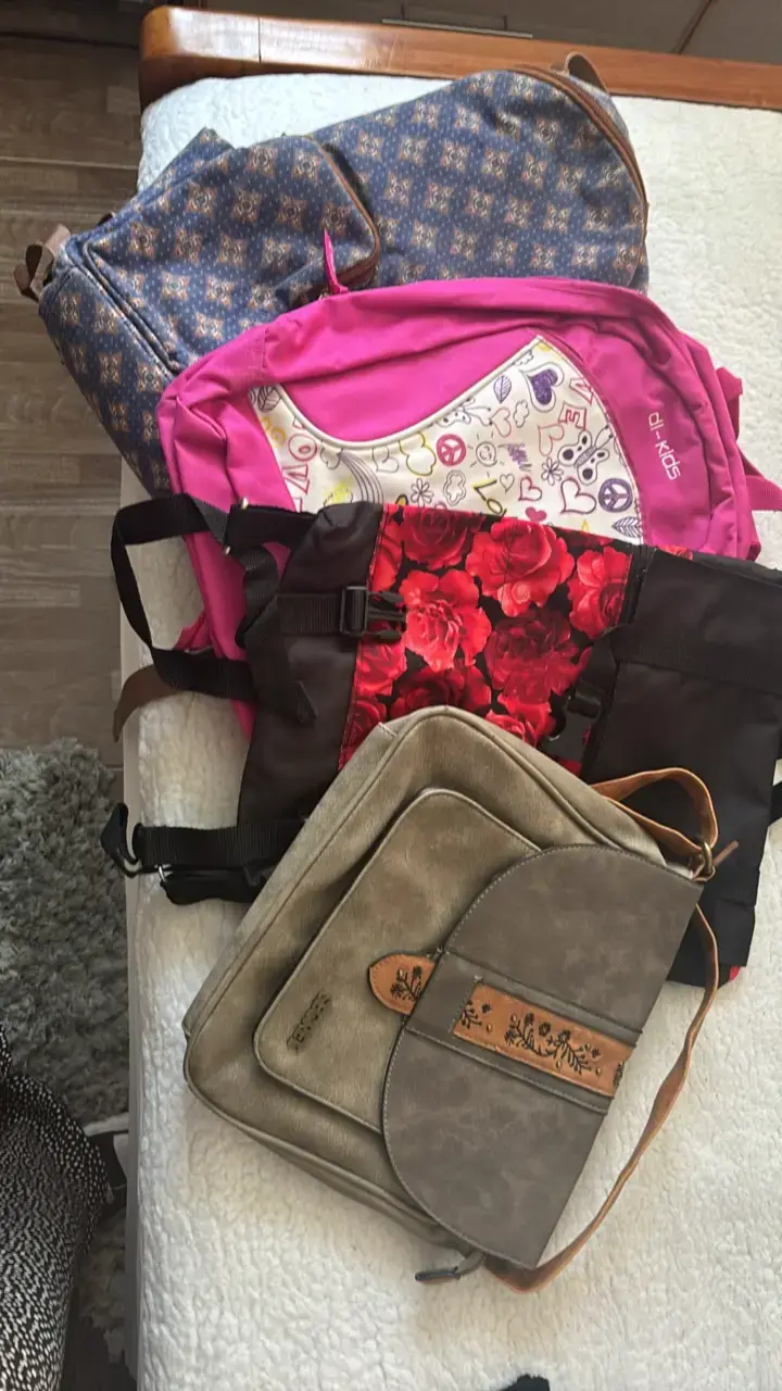 Set de mochilas y bolsos variados