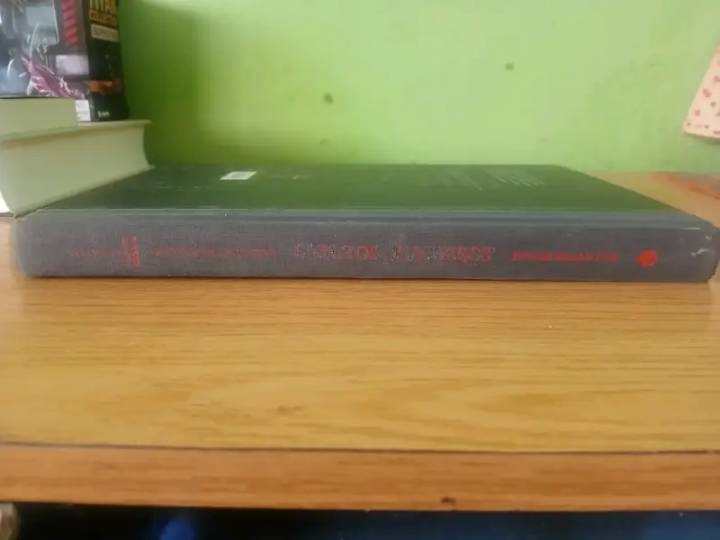 Libro Cuentos Macabros de Edgar Allan Poe - 4