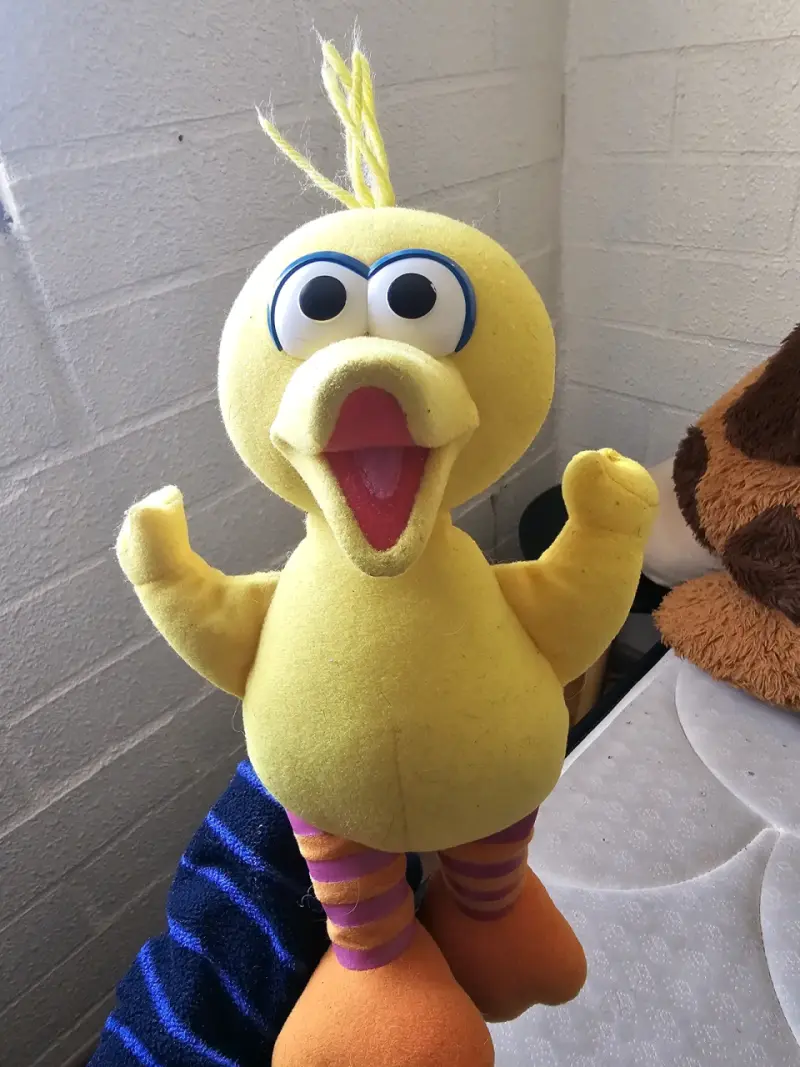 Peluche de pájaro Big Bird )