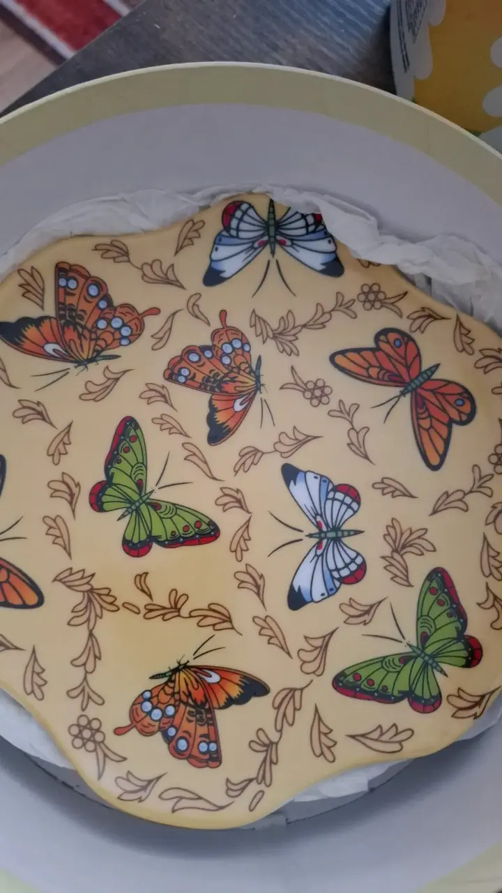 Set de platos decorativos con diseño de mariposas - 3