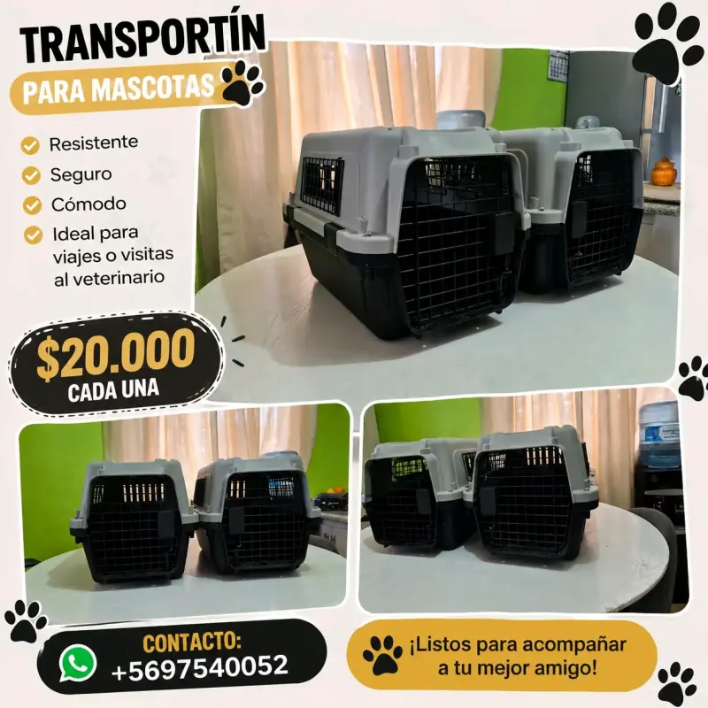 Transportín para mascotas resistente y cómodo - 1