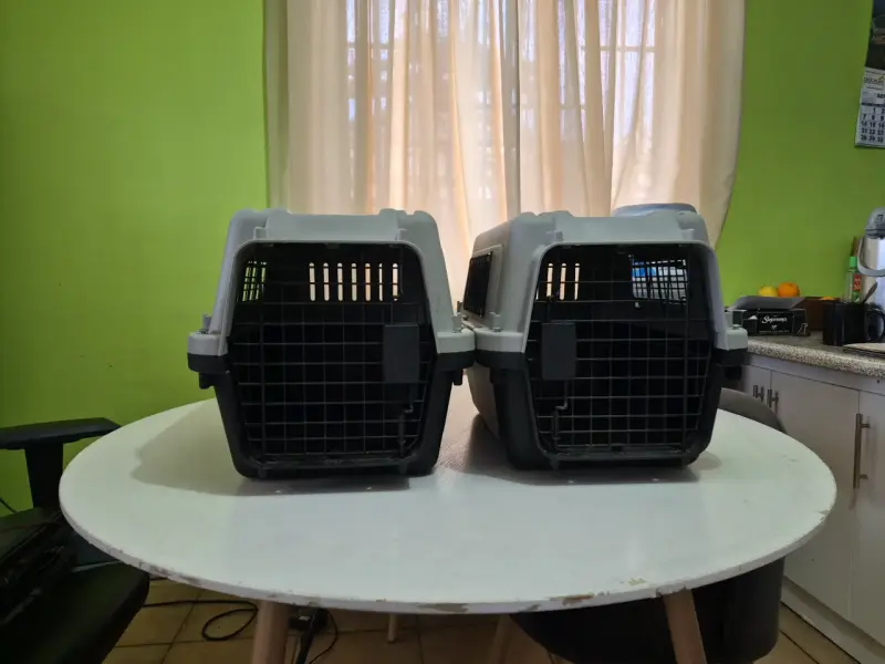 Transportín para mascotas resistente y cómodo - 3