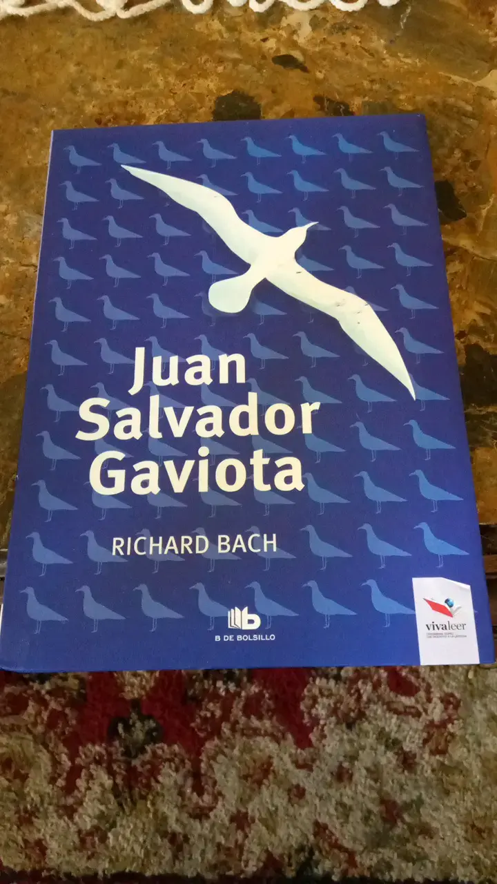 Libro Juan Salvador Gaviota de Richard Bach