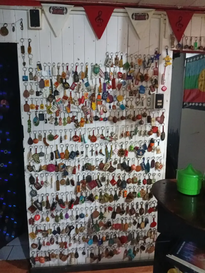 Colección de llaveros variados para coleccionistas