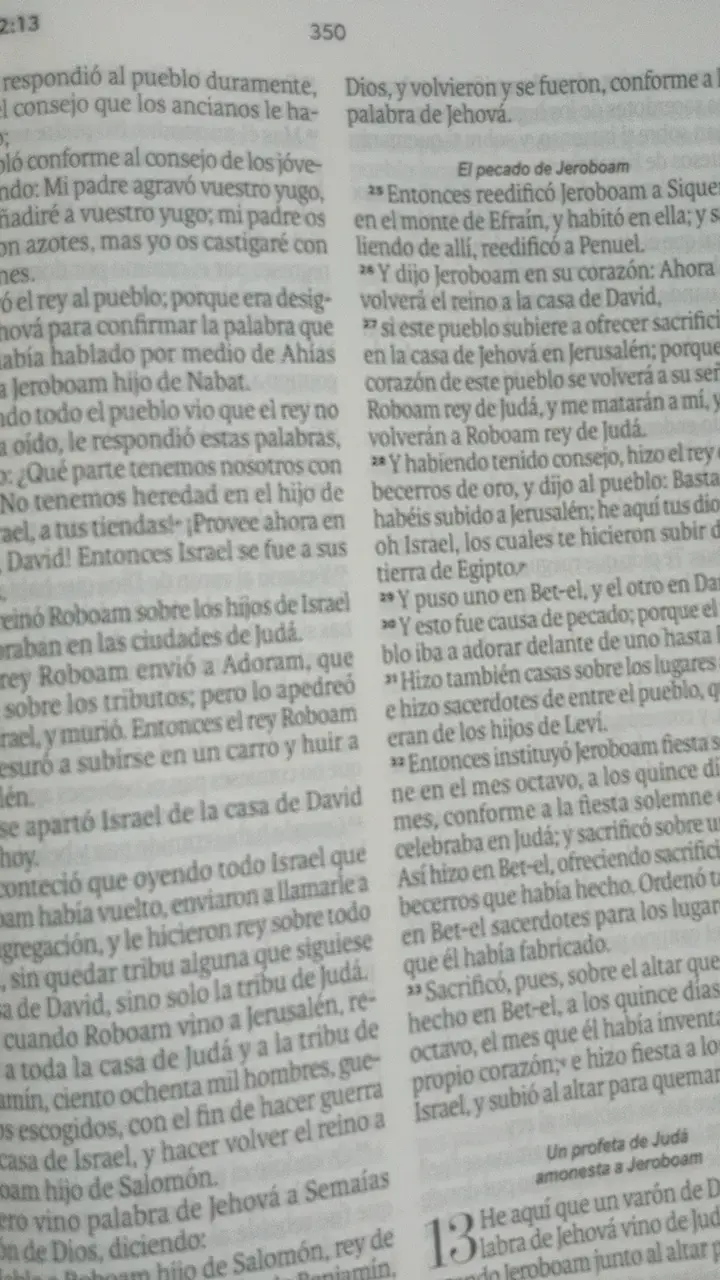 Santa Biblia Reina-Valera 1960 Letra Grande - 2