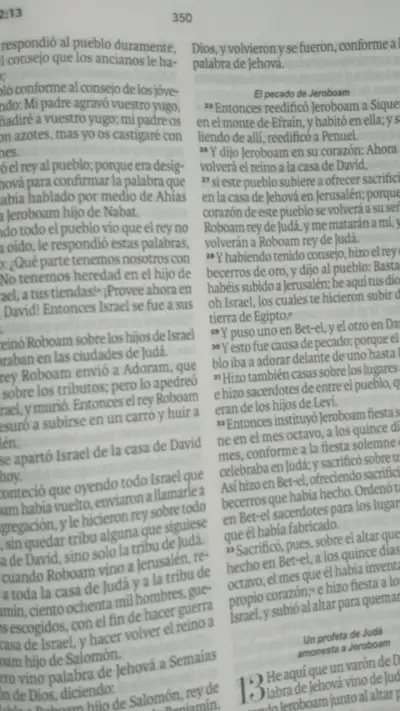 Santa Biblia Reina-Valera 1960 Letra Grande - miniatura 2