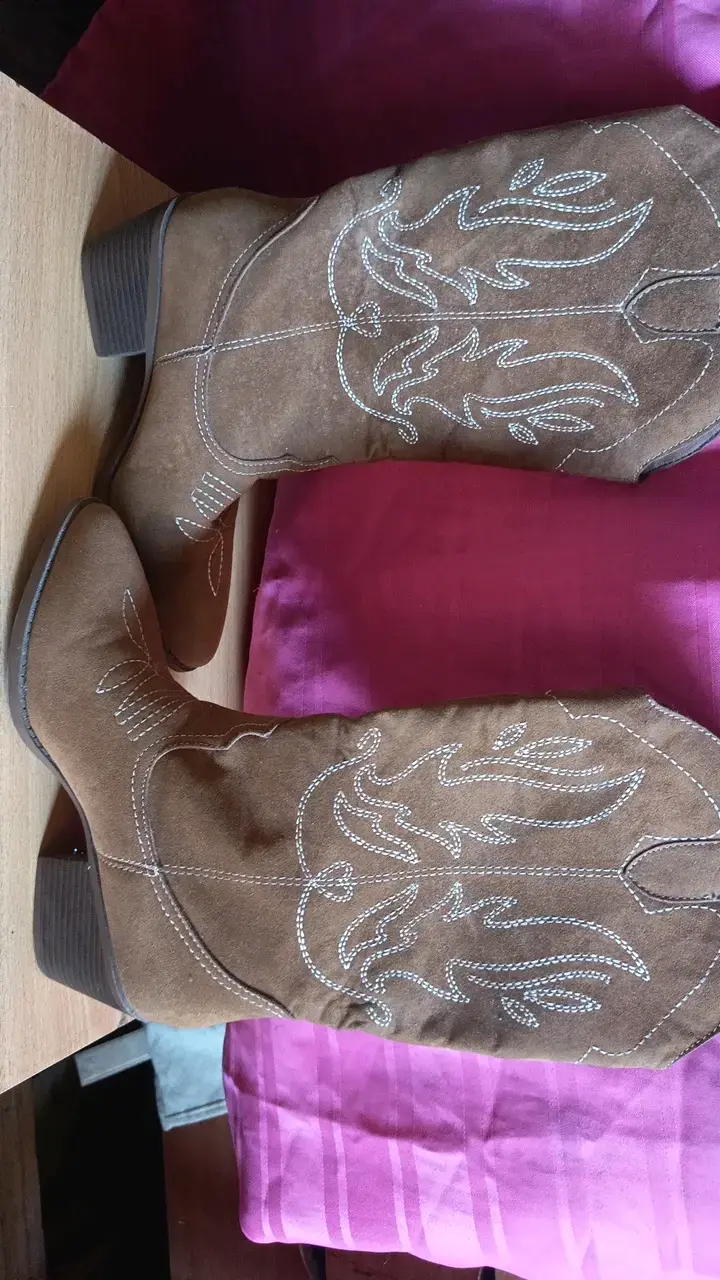 Botas vaqueras de gamuza marrón con bordado