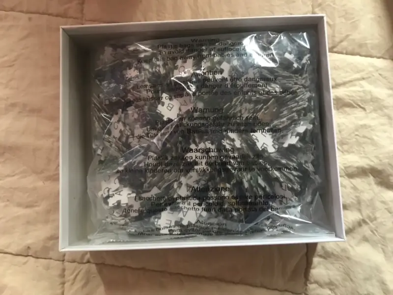 Rompecabezas Tierra 1000 piezas para adultos - 2